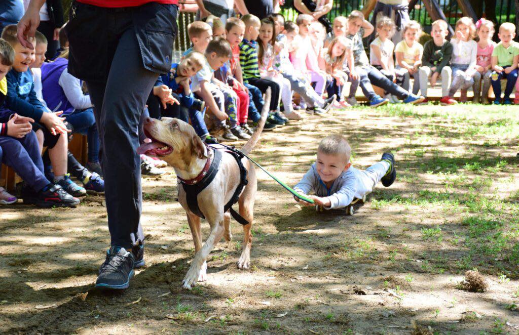 Tájékoztatás a bemutatókkal kapcsolatban