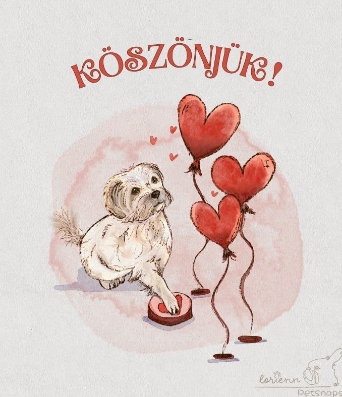 Nagy meglepetésben volt részünk!