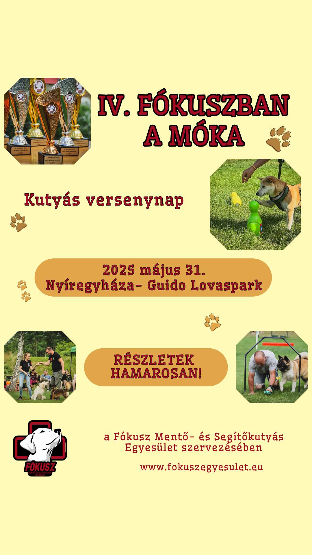 Vigyázz! Kész! Rajt!!