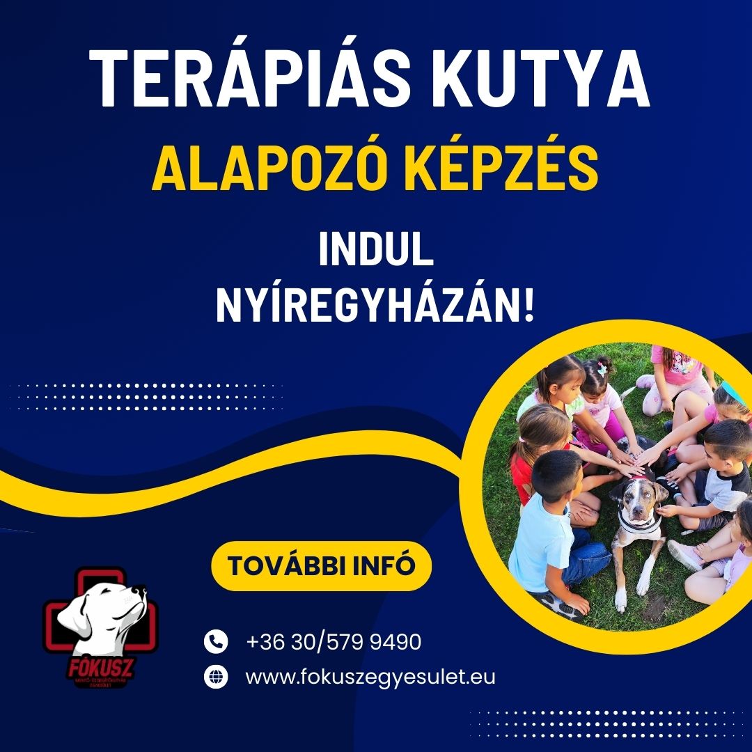 Terápiás kutya alapozó képzés indul!