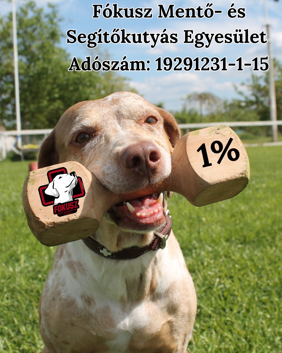 Adó 1%- közeledik a határidő