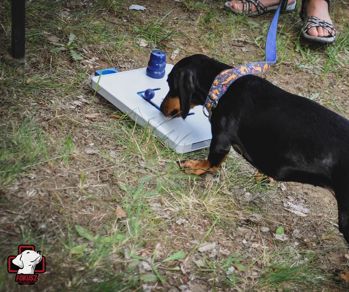 Már csak pár nap és találkozunk!