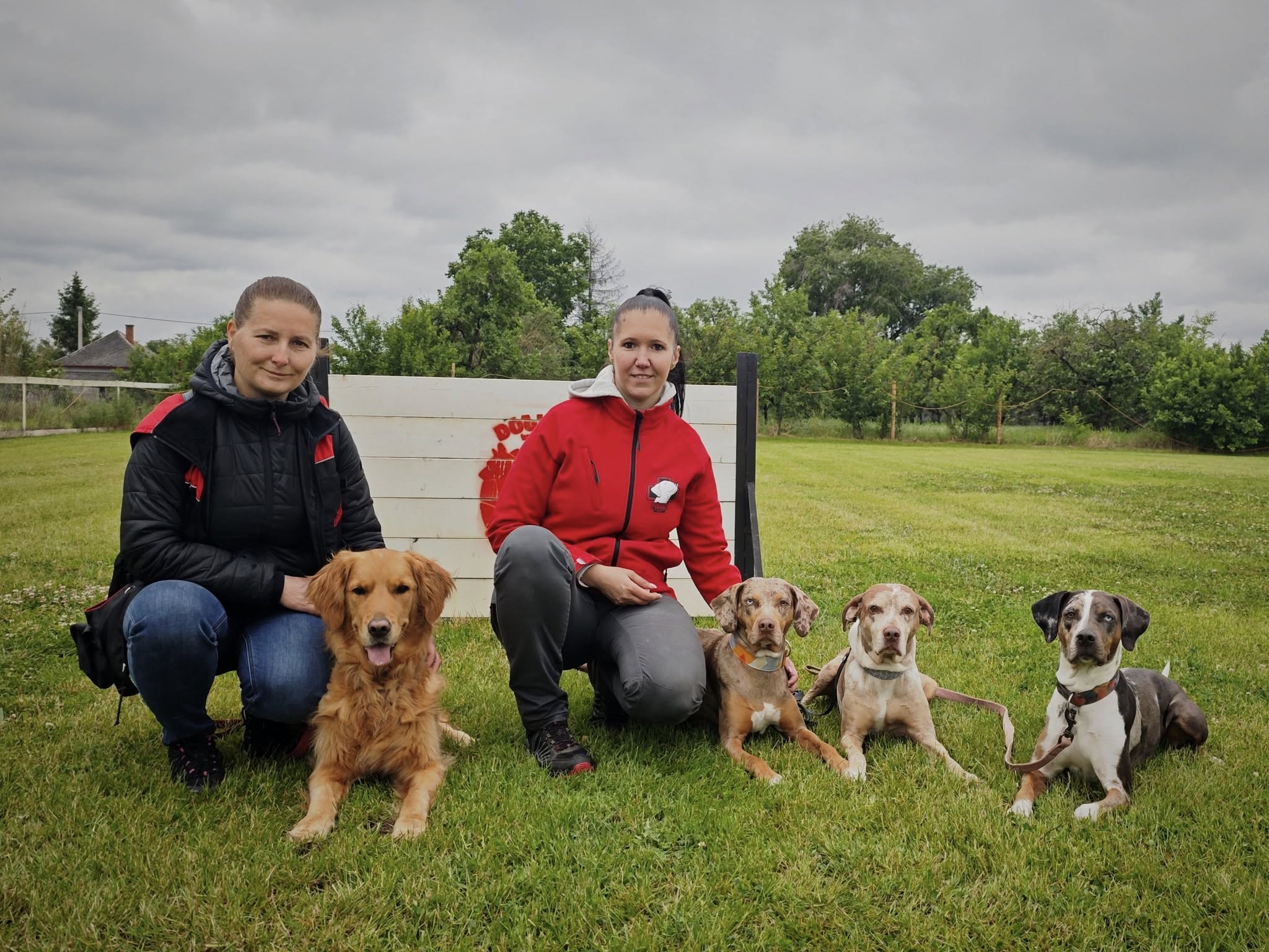 Újabb sikeres vizsgák!