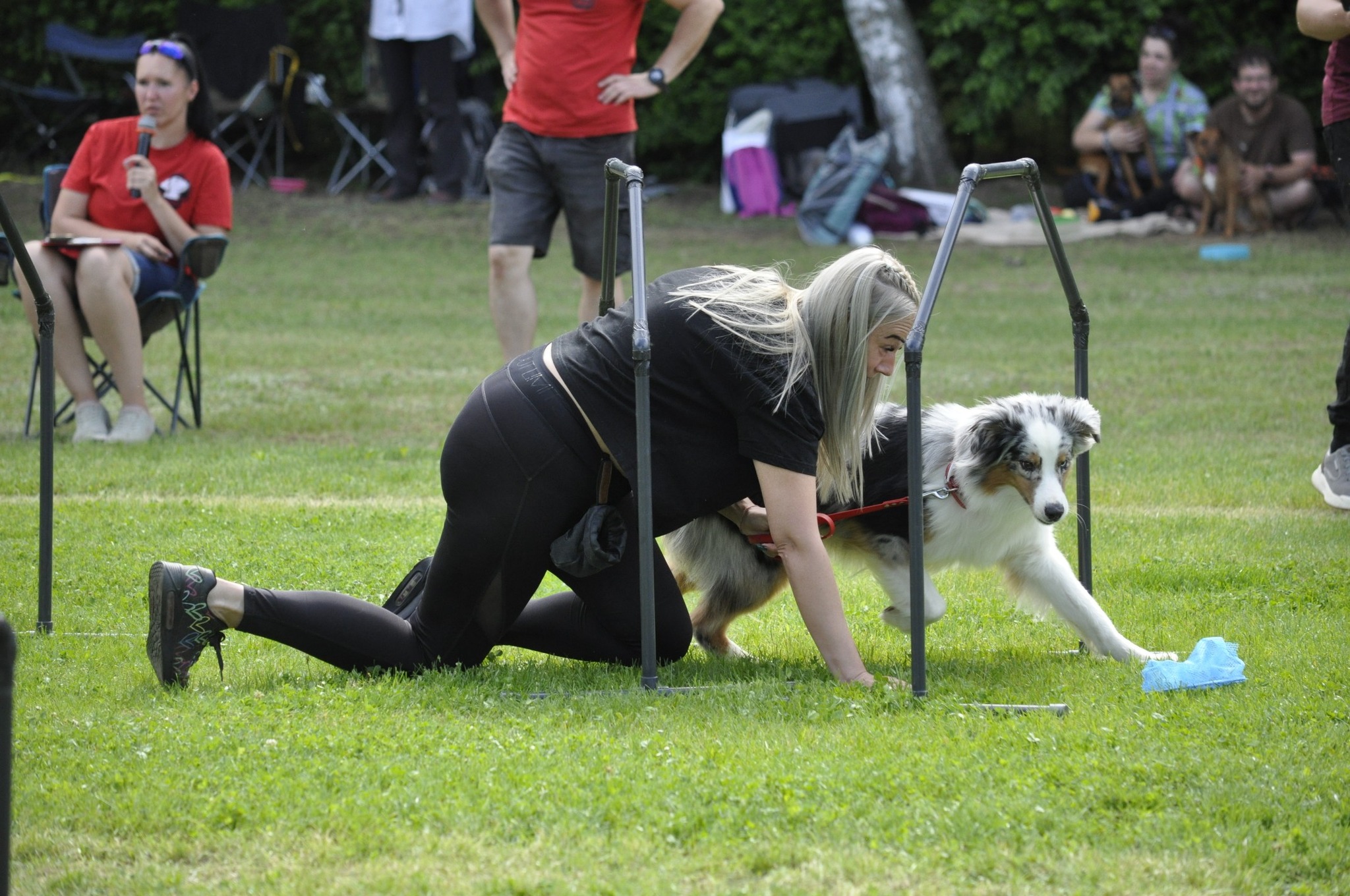 IV. Fókuszban a Móka- Képek
