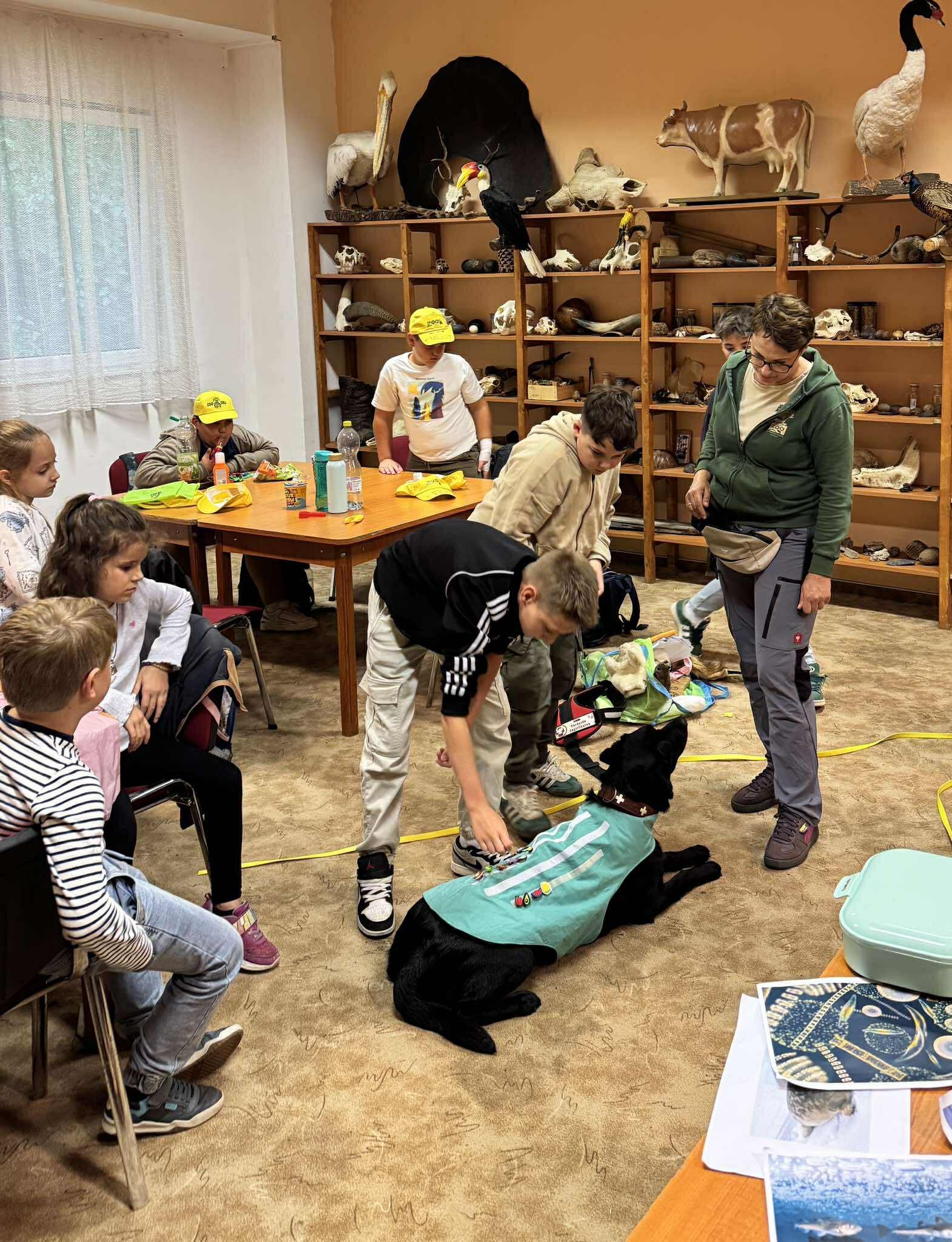 Zoopedagógia terápiás kutyával