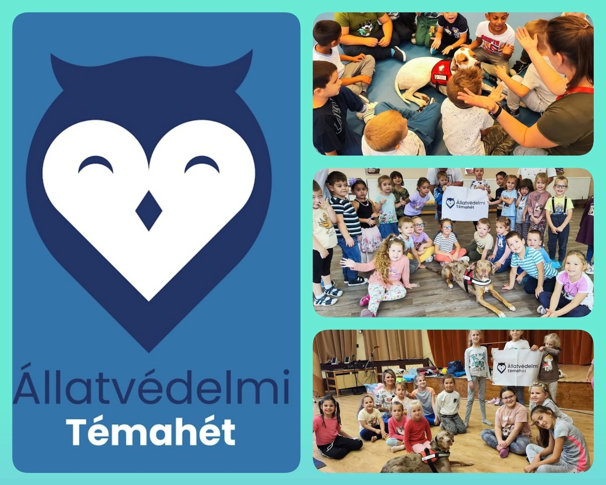 Állatvédelmi Témahét