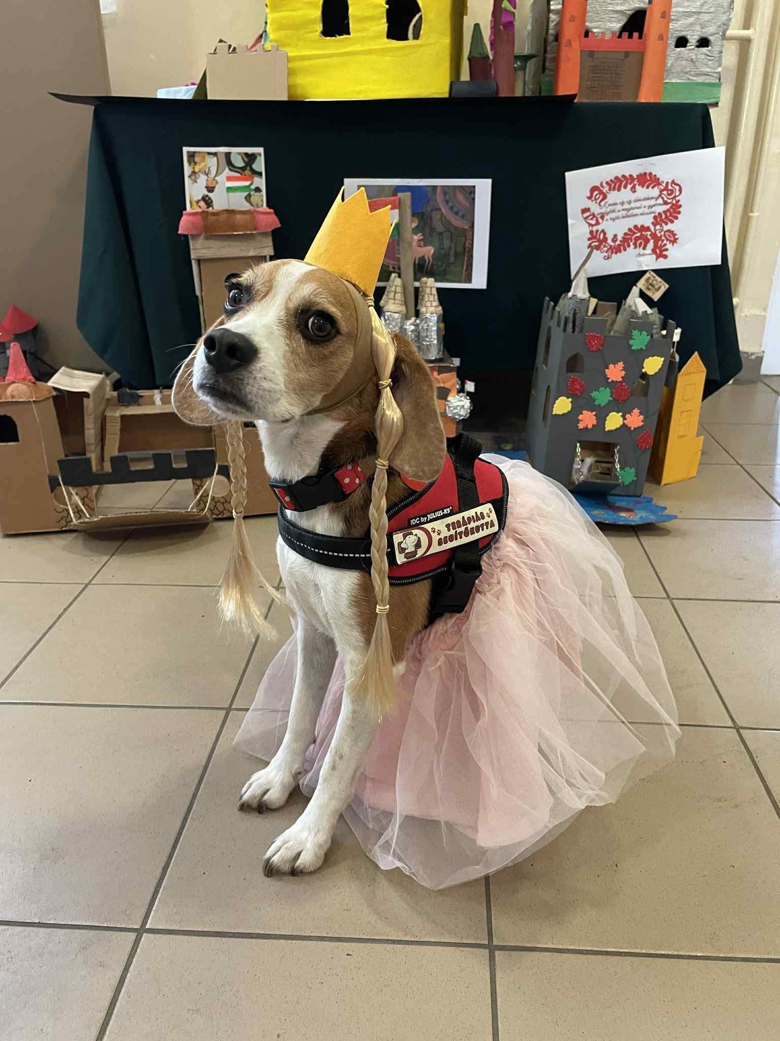 Magyar Népmese Napja