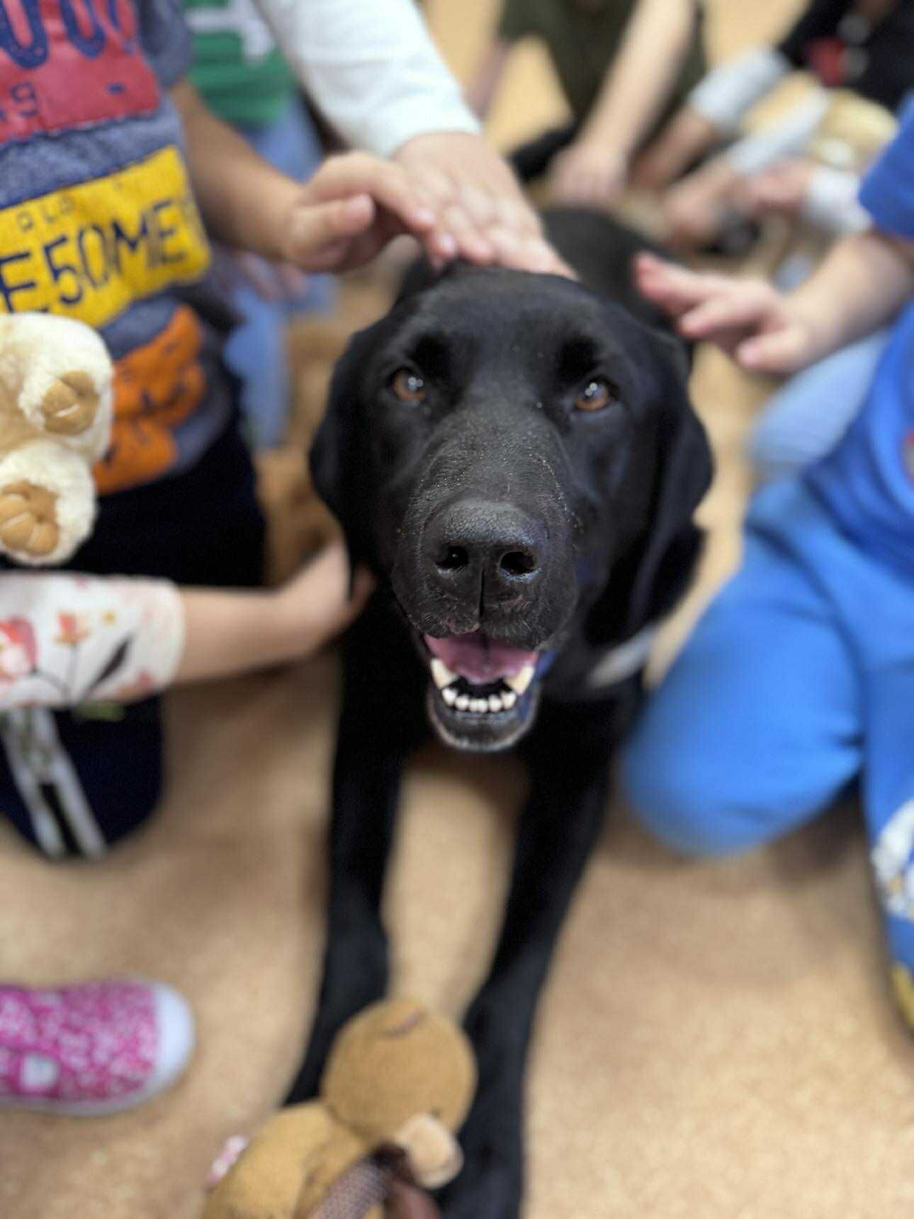 Fekete Kutyák Világnapja